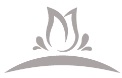 Quadrivas logo variant met een bruine boog